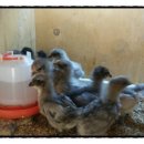 원농장1 이미지