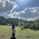 일석목장 이미지