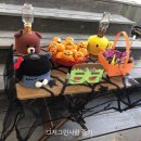 완주소양캠핑장 이미지