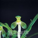 소3-3 이미지