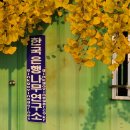 한국은행나무연구소 걸어온길 나아갈길 이미지