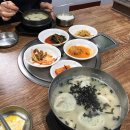 성환애견 백화점 이미지