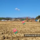 고성부동산중개사무소 이미지