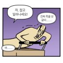 사직스포렉스 | 1월의 영 : 아무리 밀어도 기울지 않는 물속에서, 또 다른 축을 찾아내.