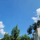 우리마을좋은사람들 이미지