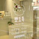 뽀도독(for the dog) 이미지