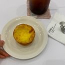 안산 고잔동 카페 몰로커피 플랜테리어가 멋진 에그스콘 맛집