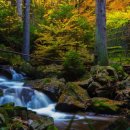 프라임 스크린 이미지