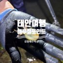 태안 해루질 포인트 삼봉해수욕장 조과 대공개 &amp; 솔직후기
