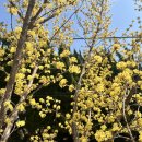 예곡마을회관 이미지