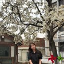 거꾸로 현대미술 : 마음을 그림으로 풀다 | 봄🌸 | 북촌 나들이 + 데미안허스트 전시 + 경복궁 나들이