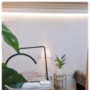 러블리 수유속눈썹 & 속눈썹펌 네이버블로그