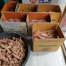 감자와고구마민박 이미지