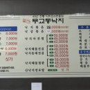 일가무교동낙지 이미지