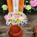 영덕아산병원 이미지