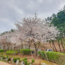 봉제산근린공원 이미지