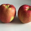 카인드마트 이미지