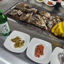 섬진강강굴식당 | [하동] 섬진강 벚굴구이 : 매화축제 필수 코스! 일반 굴보다 5배 큰 압도적 비주얼의 벚굴 내돈내산 후기