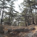 돌산배드민턴장(숲길) Daum카페