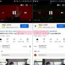 멍멍냐옹 이미지