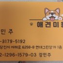 까끄개 애견미용 이미지