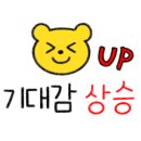 마티애견 이미지