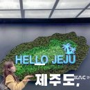 대정읍 하동삼거리 | 제주첫째날 | 노형동사진관, 말젯문, 탱글, 산방산유채꽃, 썬앤문리조트, 돈방석