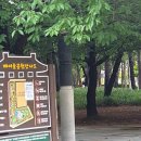 매탄(매여울공원) 이미지