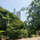 밀양가산돼지국밥 이미지