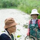 청자골토하