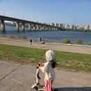 솔디자인 - 화성시 해안길442번길 38-37 | 올드솔 웨이브샌들 후기, 첫 걸음마 신발 올드솔 샌들 사이즈 고르는 법