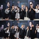 팜트리아일랜드 스타뉴스