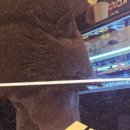 수원-1463 이미지