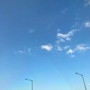 [전남/담양] 담양 현재국수 솔직후기 (담양국수거리/ 담양국수)