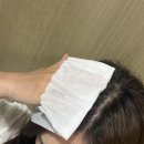 ㈜허브로 | 올리브영 추천템 아리얼 드라이샴푸시트 후기｜10초 헤어 리셋 가능한 정수리 시트