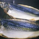 달이네찬 이미지