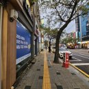 목동역 1번출구 | 목동역 고기집 중 맛집 찾는다면? 삼숙이 갈비 괜찮았던 이유!