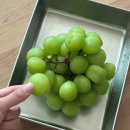 맘보마트 | 삶이 너무 f*ck fu*k 해 10월