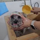 그루머로 이미지