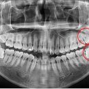 주례치과의원 이미지