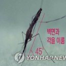 232 이미지