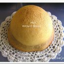 로티보이 이미지