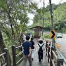 화담다인 이미지