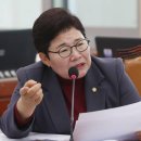 스타1 의원 머니투데이