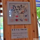 서호지구대 | [스시바라기] 서수원 맛집, 싱싱한 활어초밥 스시바라기
