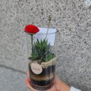 선호꽃집