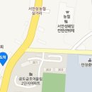코디애견샵 네이버블로그