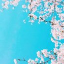 e편한세상 비전센터포레 이미지