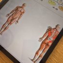 강남-131 | 강남체형교정 어디가 좋을까? 청담동 제이제이바디푸리 통증&amp;체형관리 솔직 후기