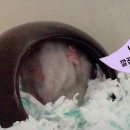 그루밍조이 이미지